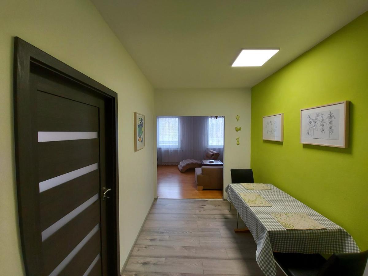 Apartman Eva - Plne Vybaveny Byt - Týn nad Vltavou Exteriör bild
